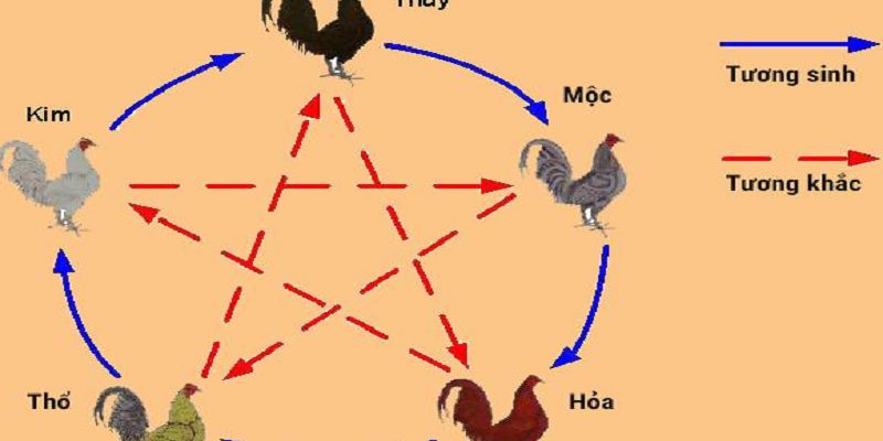 05 mệnh gà theo ngũ hành mà bạn cần nắm rõ.