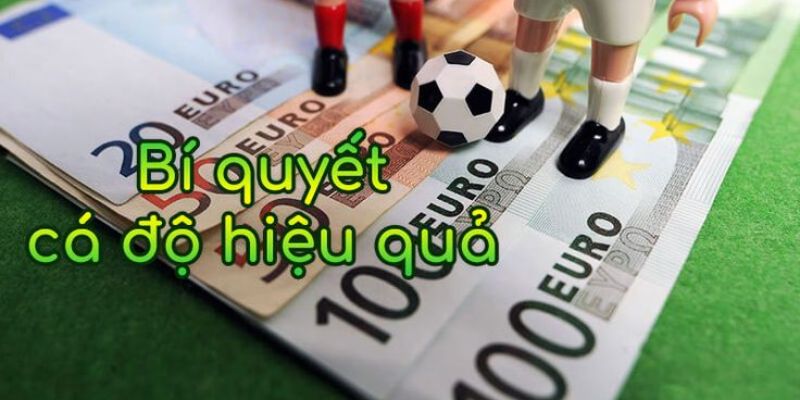 Bí quyết cá cược thể thao thắng từ chuyên gia 