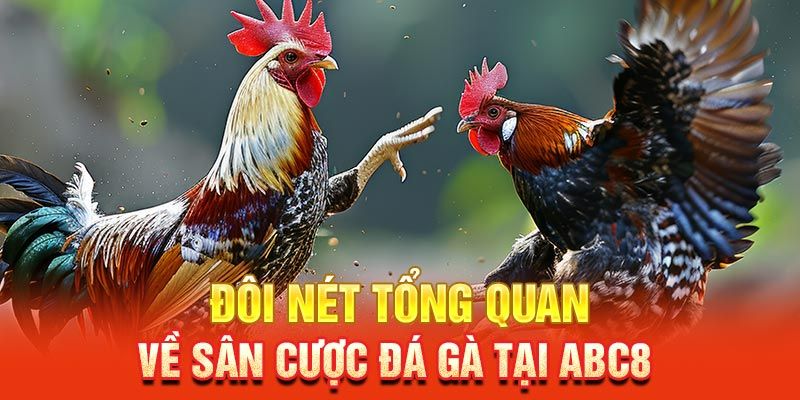 Khám phá thiên đường kê đấu - Đá gà ABC8