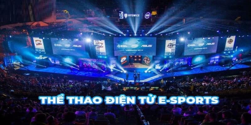 Thể thao Esports chắc chắn sẽ là bộ môn mang đến nhiều cảm xúc nhất cho người chơi