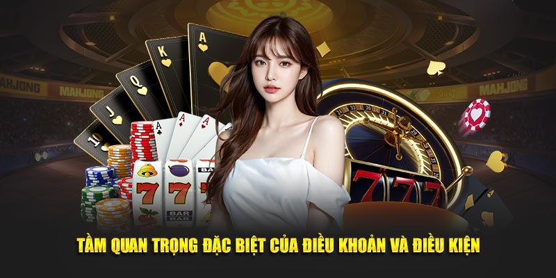 Tầm quan trọng đặc biệt của điều khoản và điều kiện